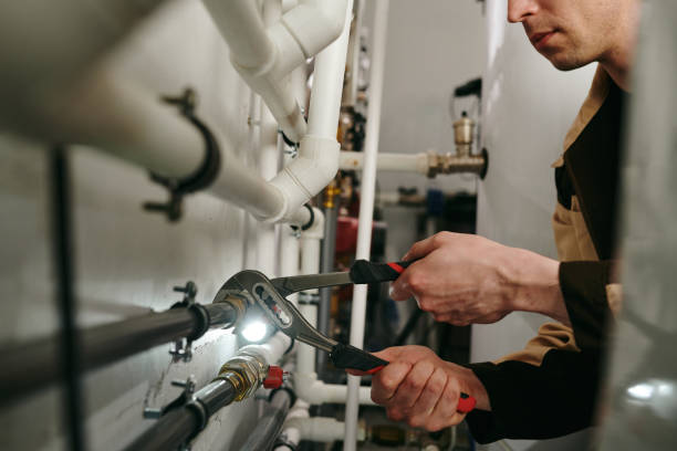 Best Clogged Drain Plumber  in Decorah, IA
