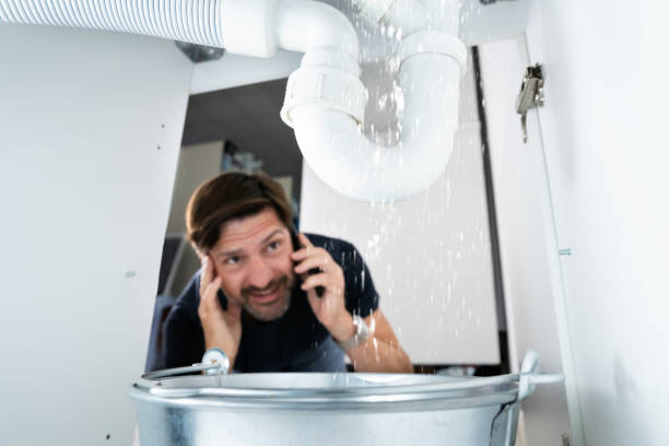 Best Local Plumber Services  in Decorah, IA